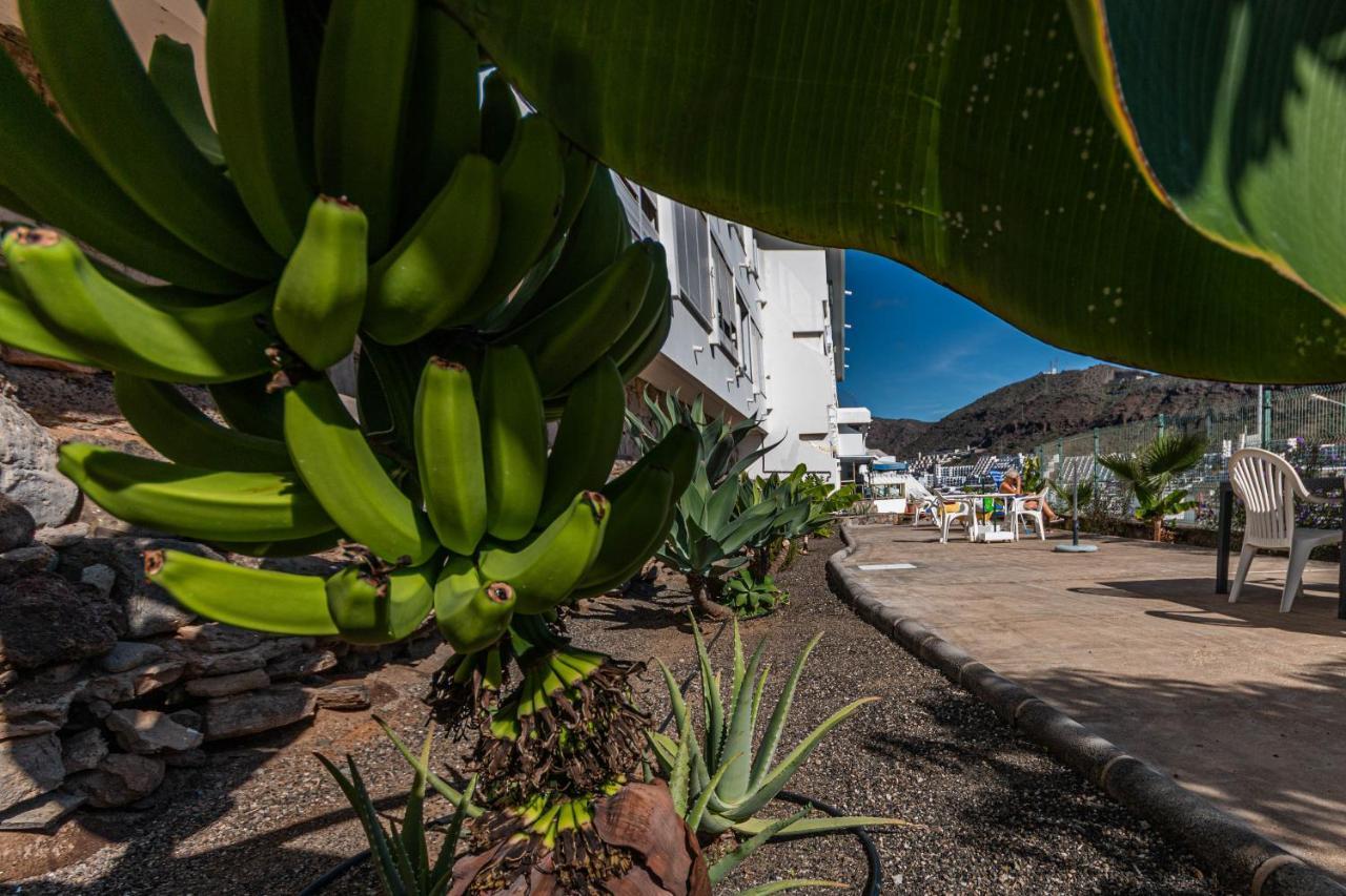 Puerto Rico Corner Apartment Ngoại thất bức ảnh